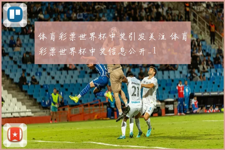 体育彩票世界杯中奖引发关注 体育彩票世界杯中奖信息公开_1